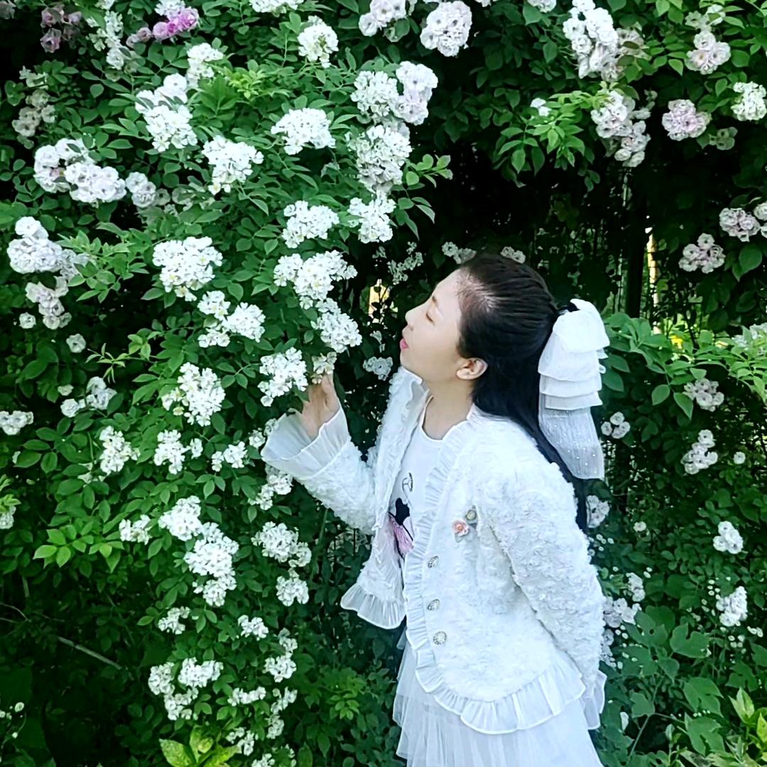 楠能可贵