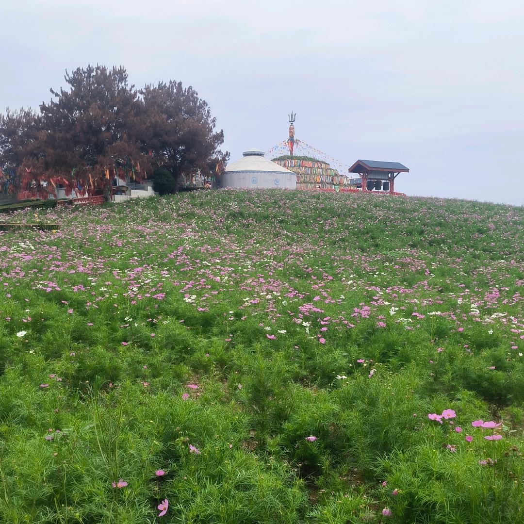 🐑光拼搏进取🌈🌈