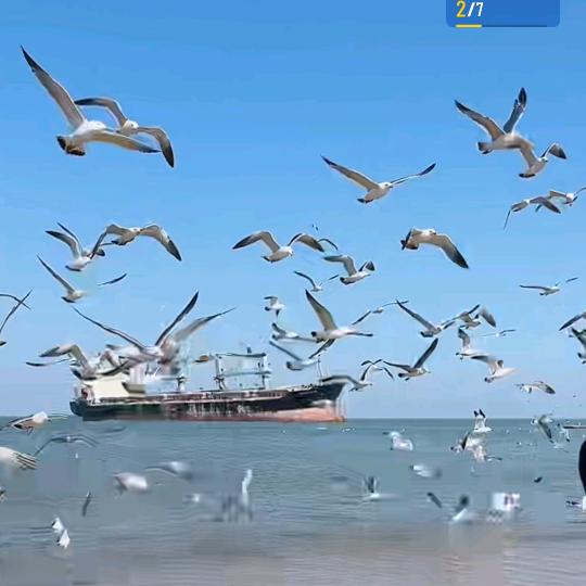 第5空间