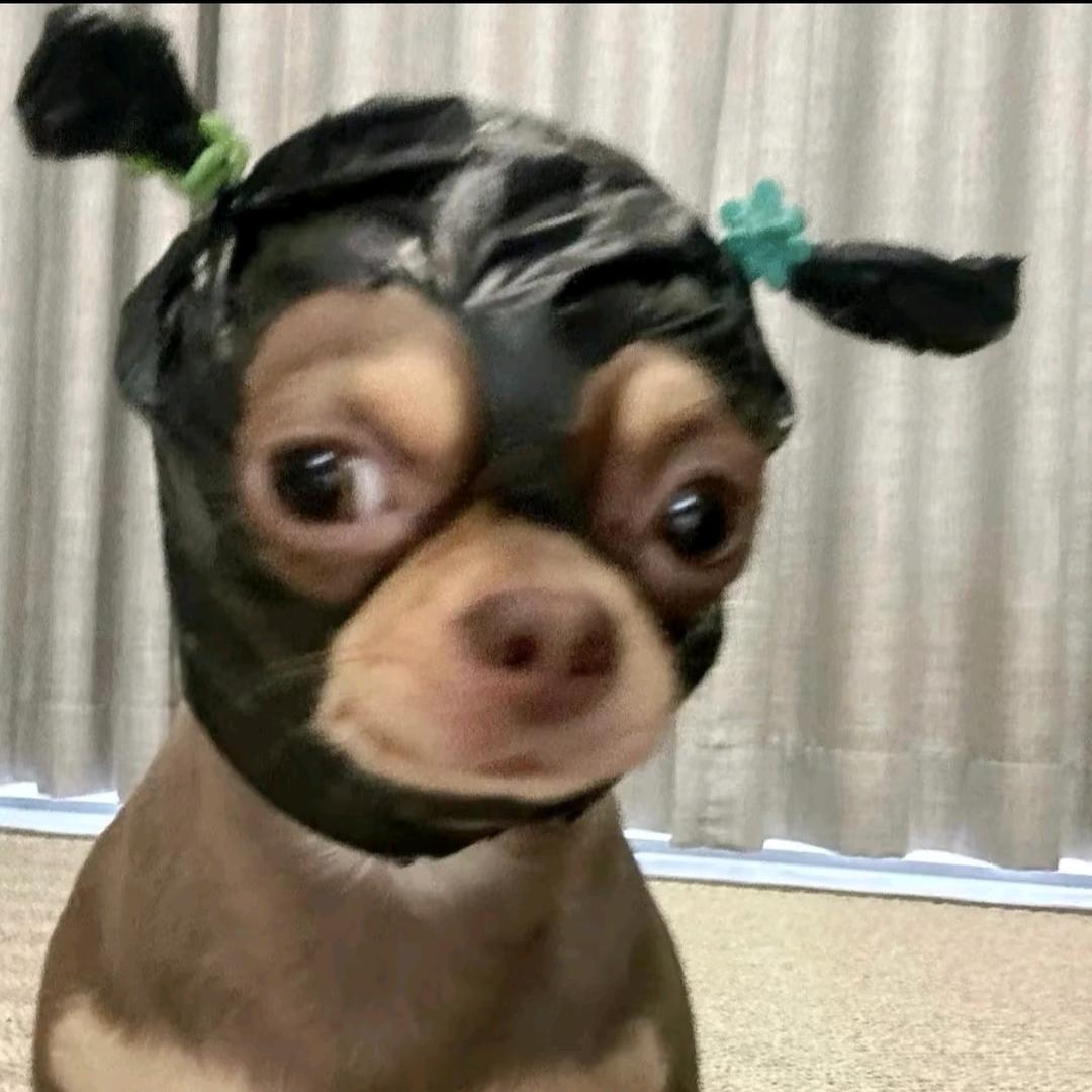一点也不甜