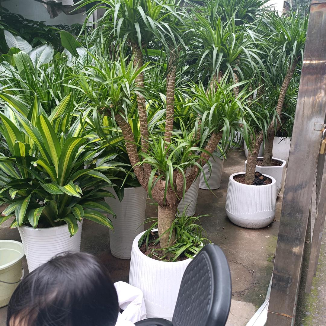 开心过好毎一天