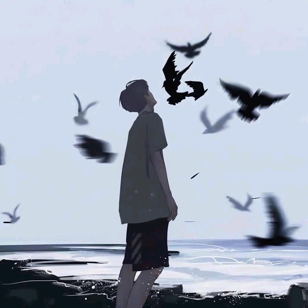 不再迷茫