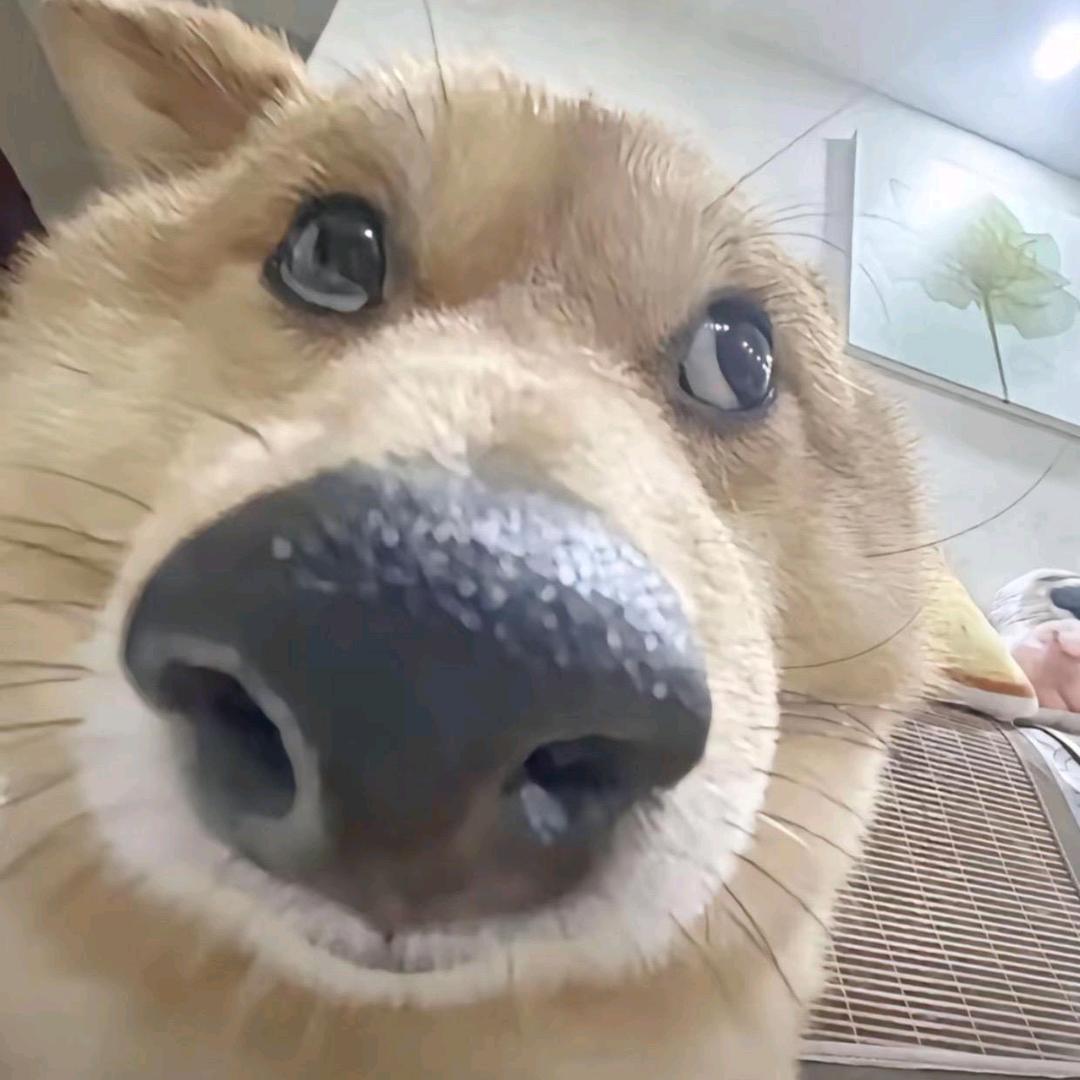 画歌