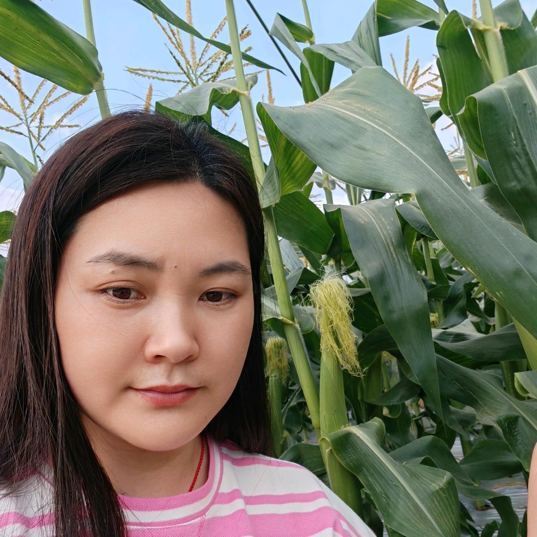 小张不会跳