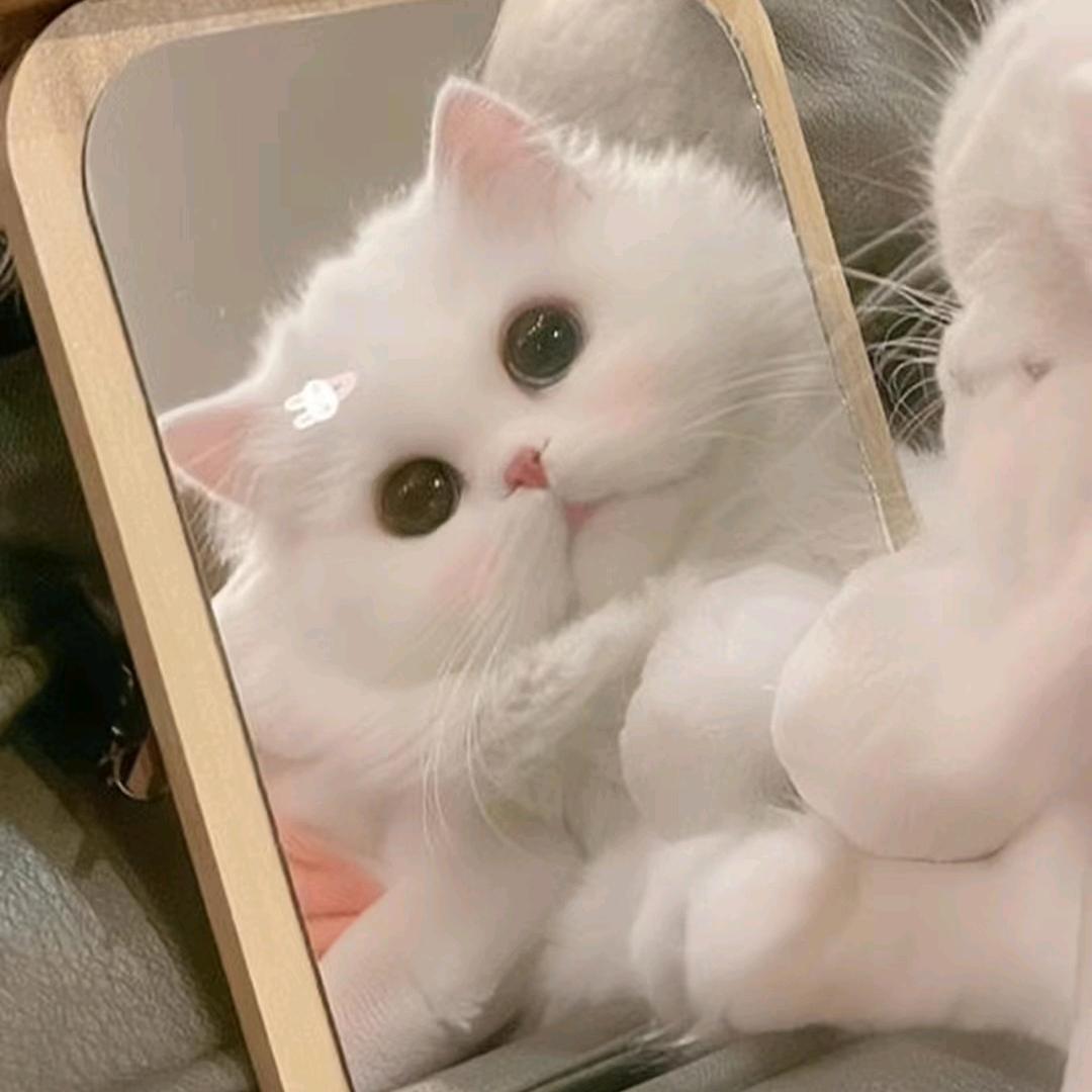遇桉℠