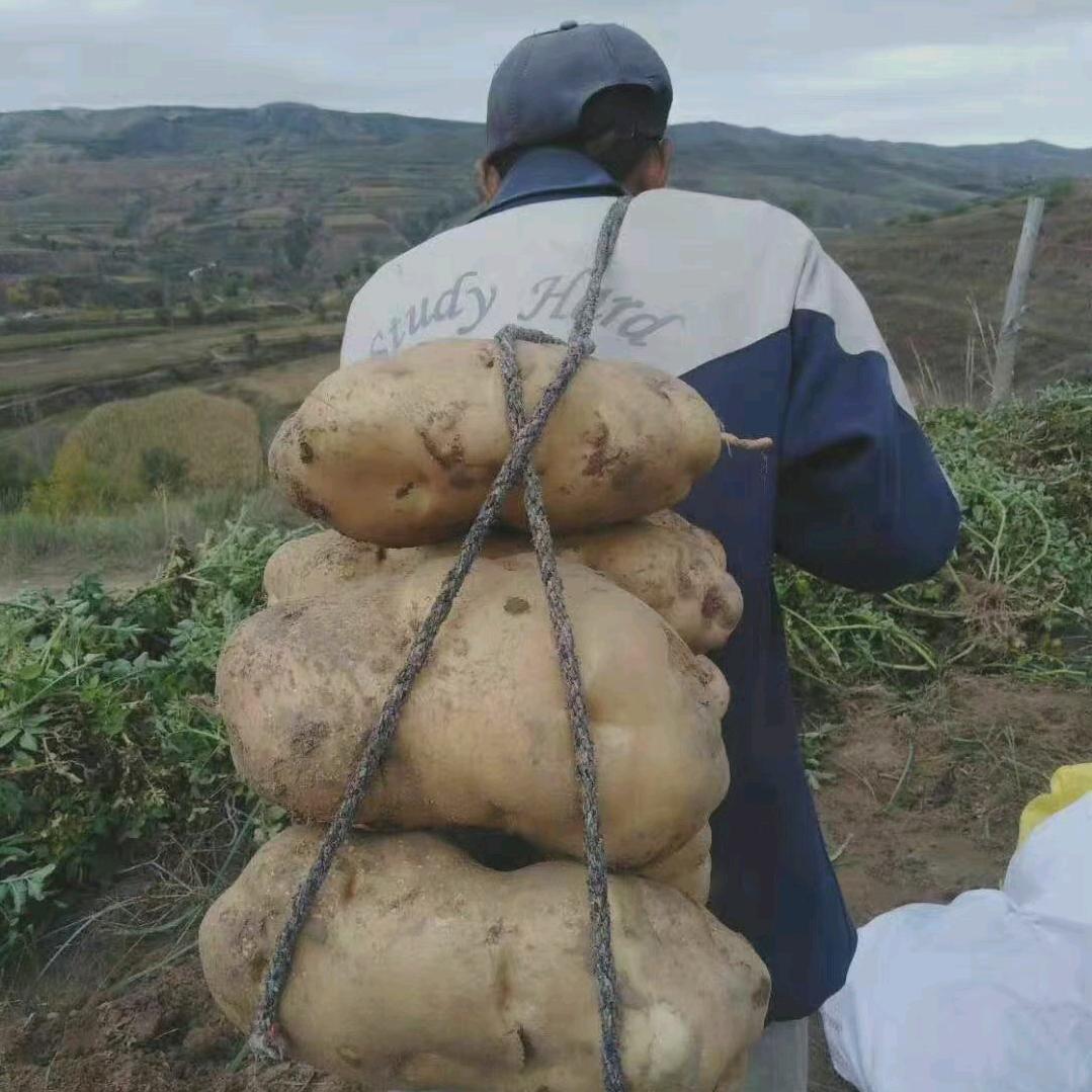 飘飘欲仙小酒坊