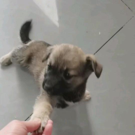 我把余生给自己