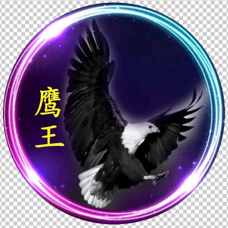 鹰王