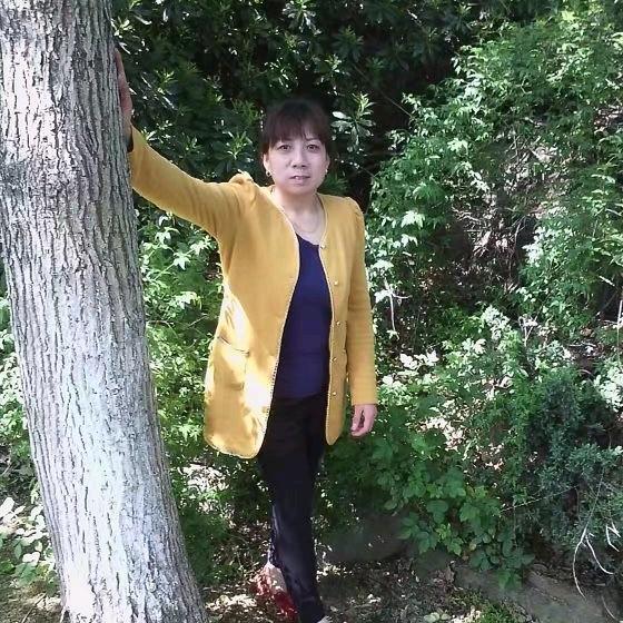乡愁记