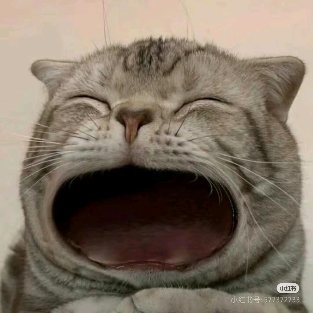 我妈说名字设置的太长就会有傻子跟着念