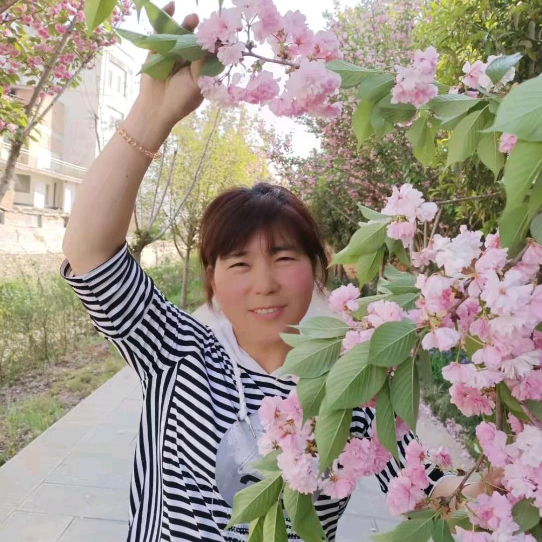 ღ*᭄雨🦋蝶᭄ꦿ࿐*