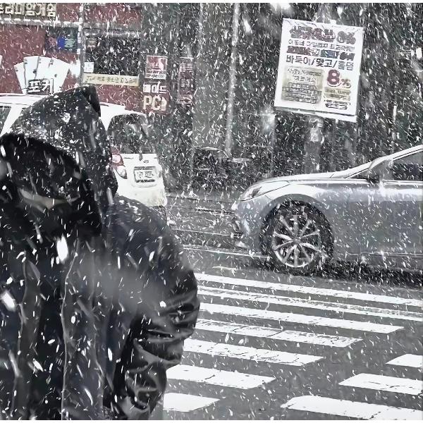 陌笙人
