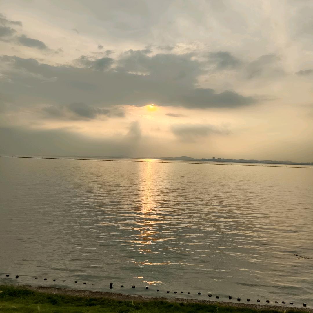 🌟阳光满溢💫