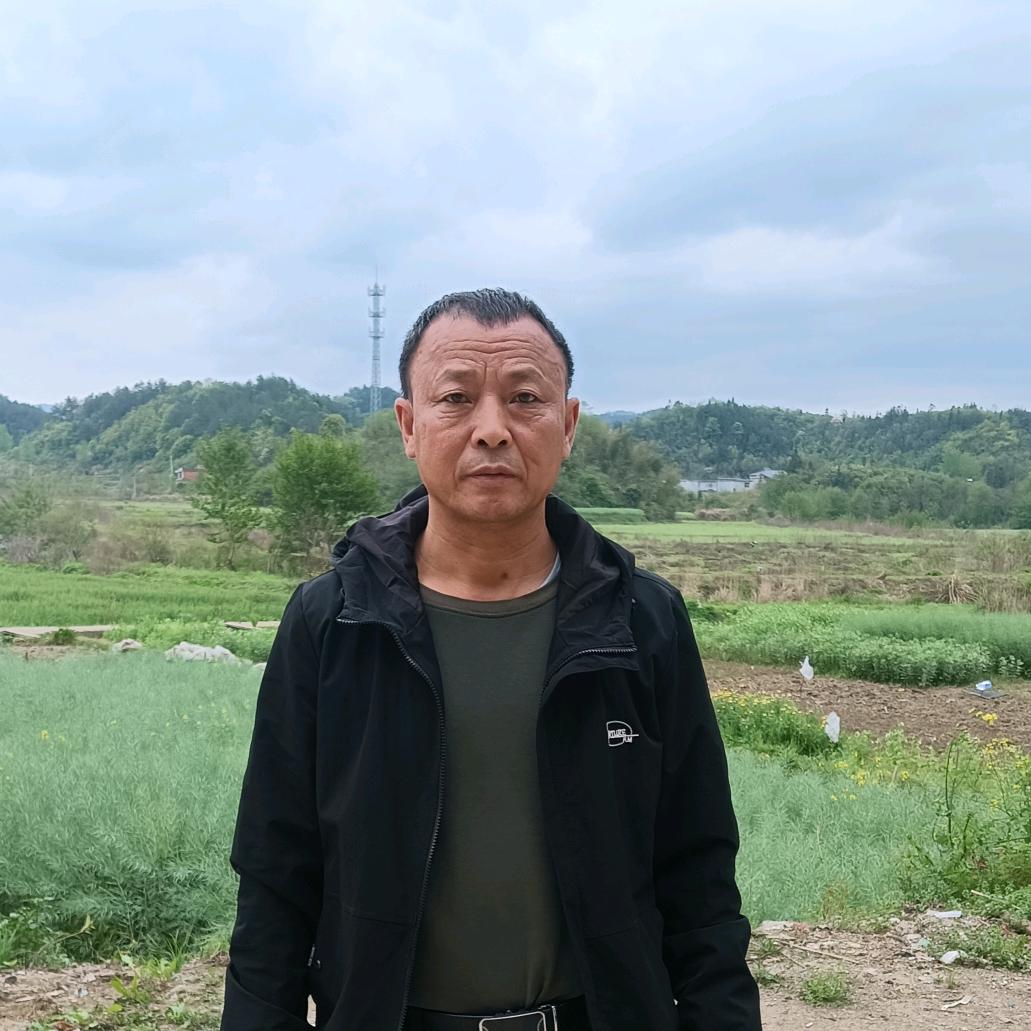 曹歌250