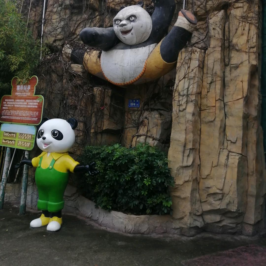 专业