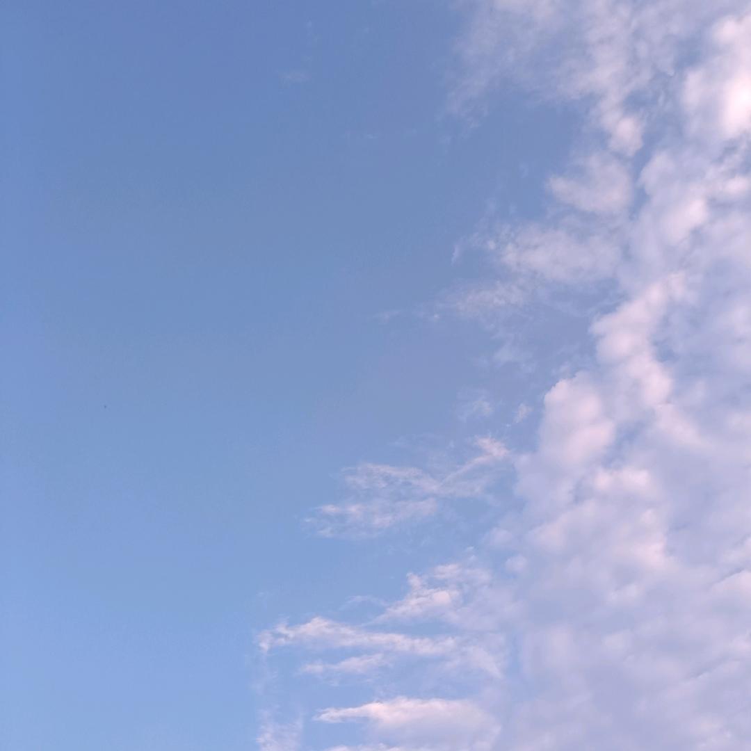 荷