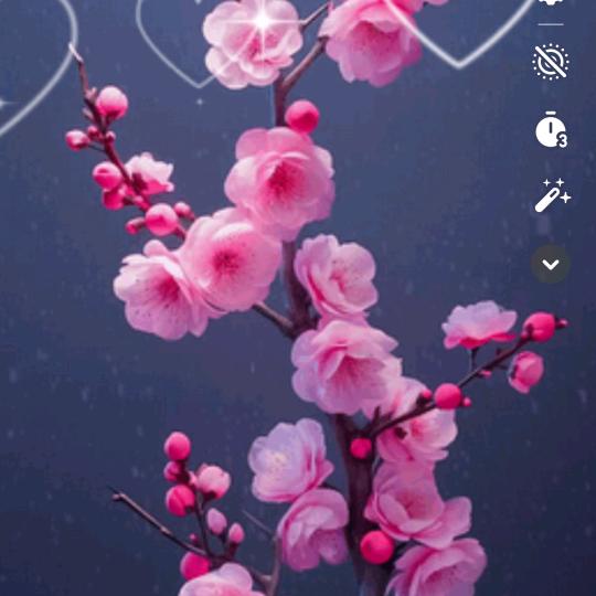 🍃连🌹