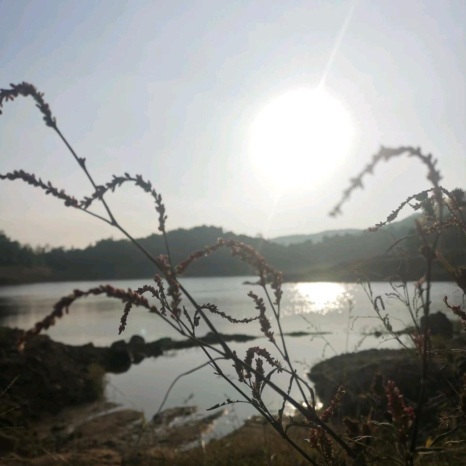 世界有你最美丽