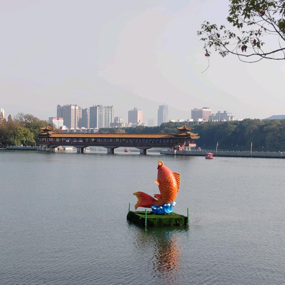 ∝养猫的鱼🐠∝