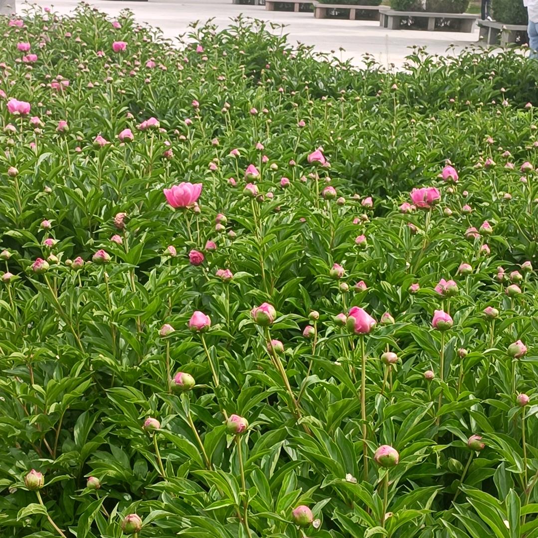 永远