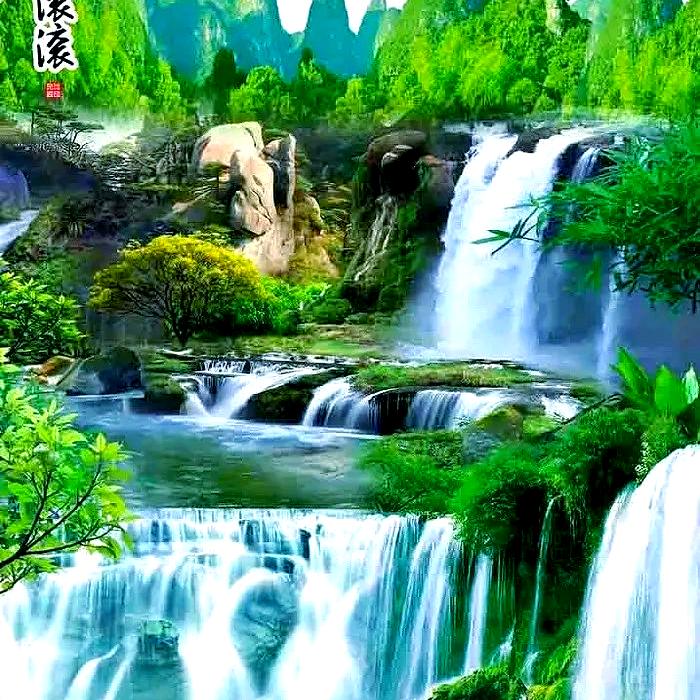 焱 龙 亿 森