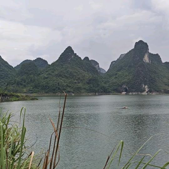 刘，，，啊