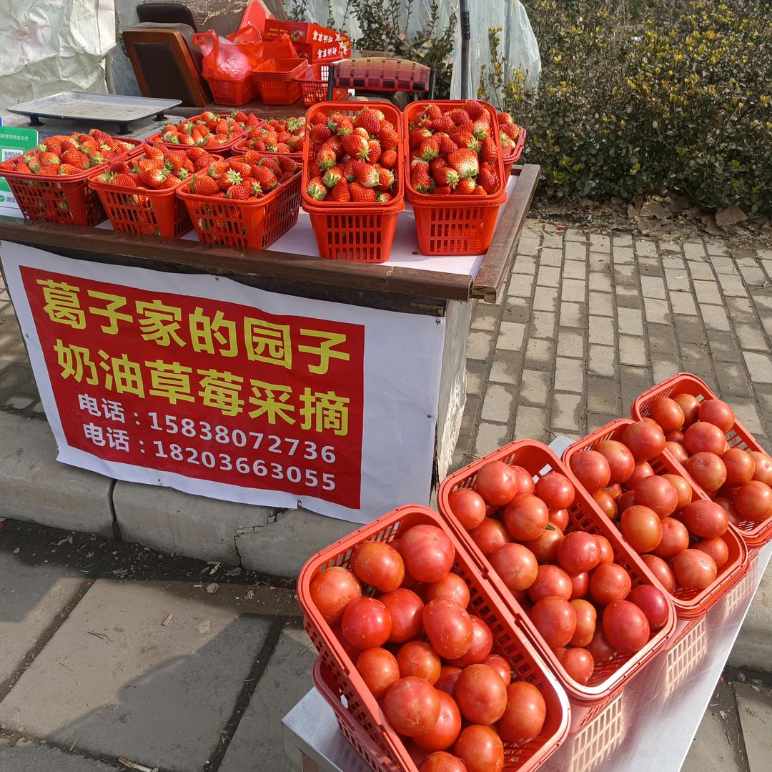 草莓味🍓De Baby
