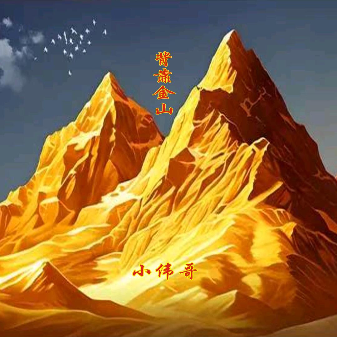 小伟哥