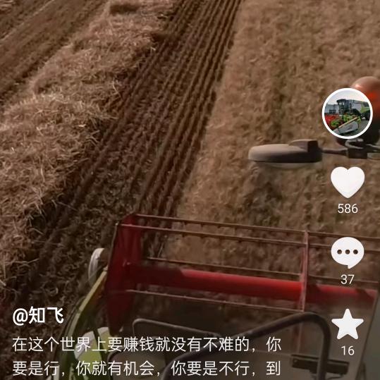 绿色魚米