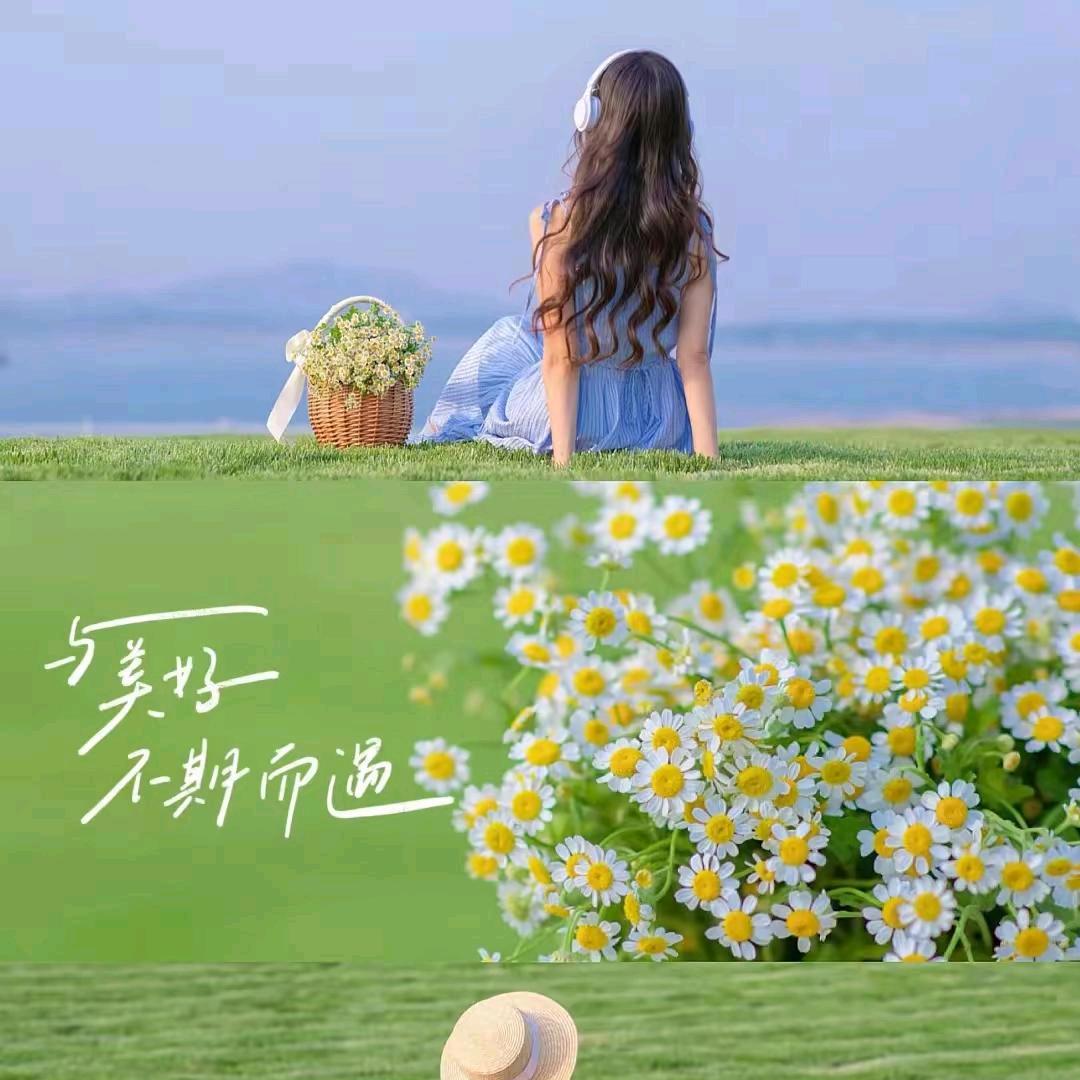 不吃香菜的杨