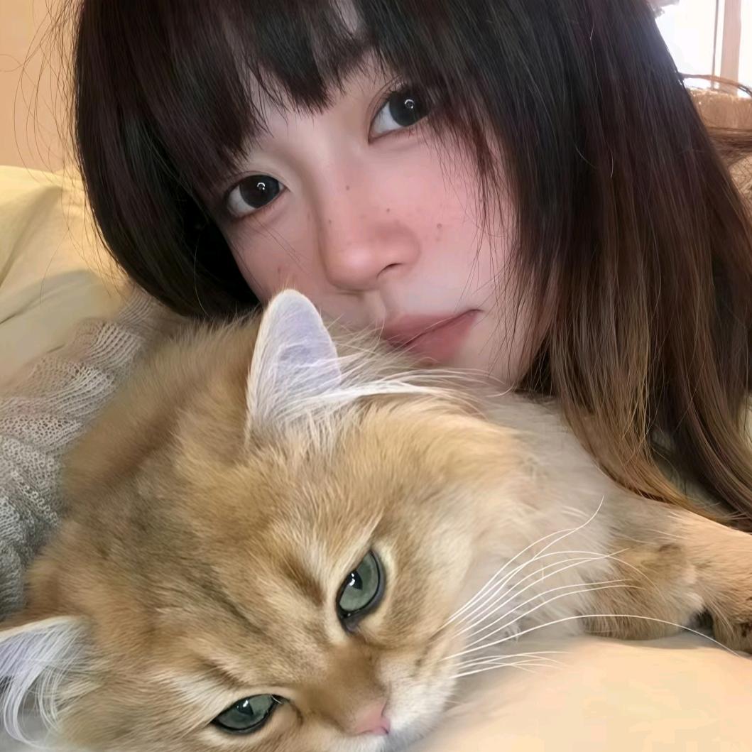倒头就睡