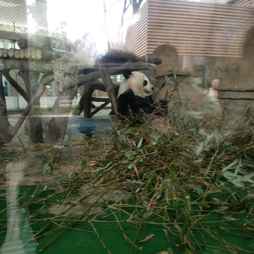 你若安好我不打扰