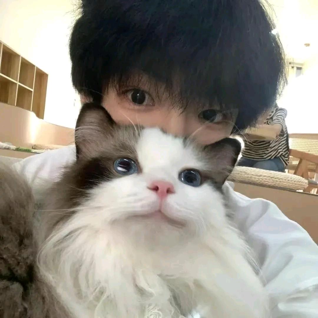 Dang、