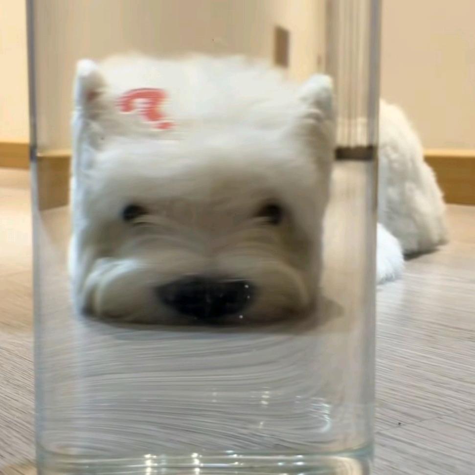 修害修