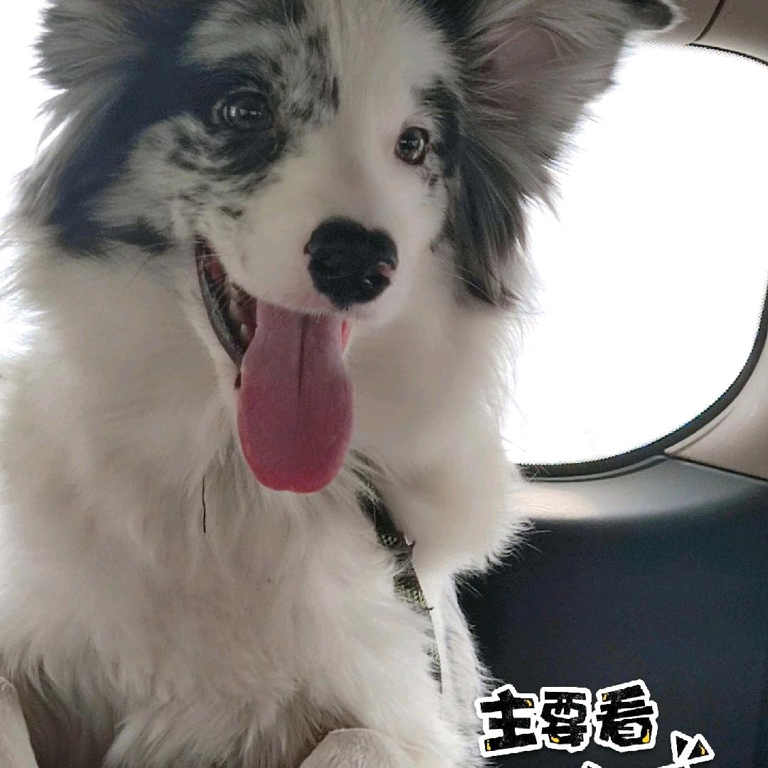 曉馨