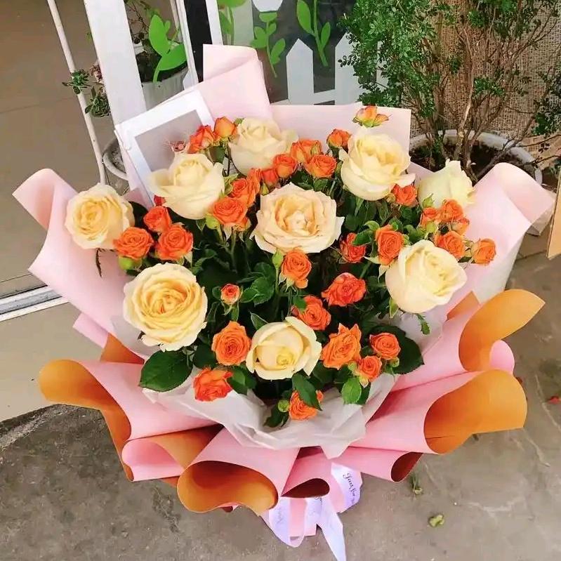 春香单身（私）