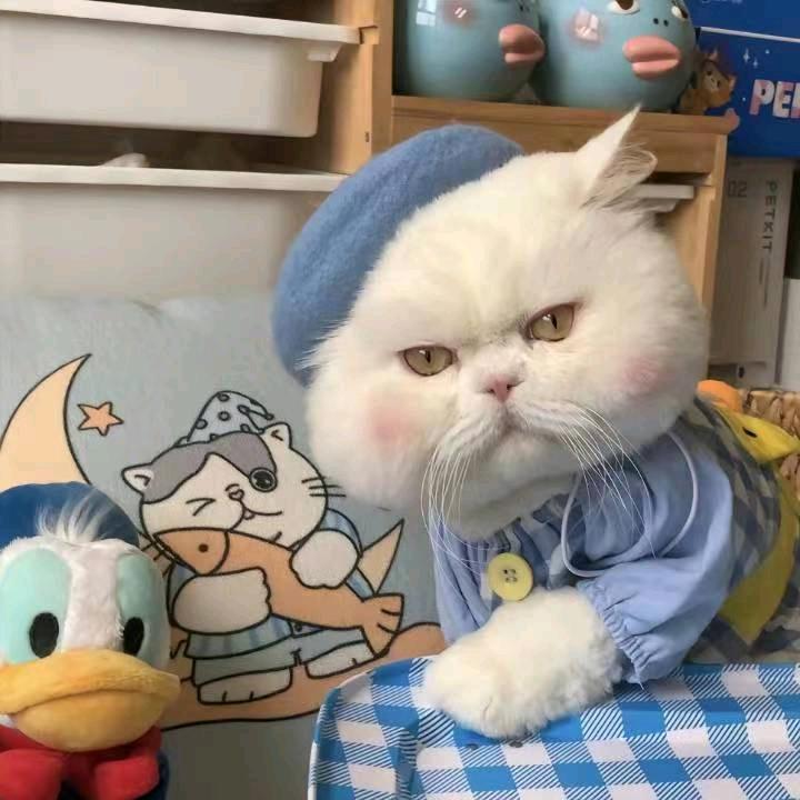 时时欢欣