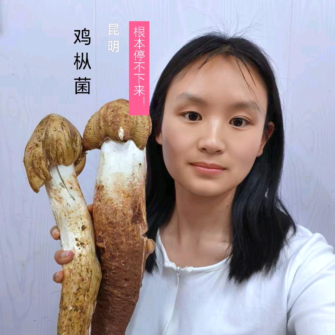 菌菌子小伞铺