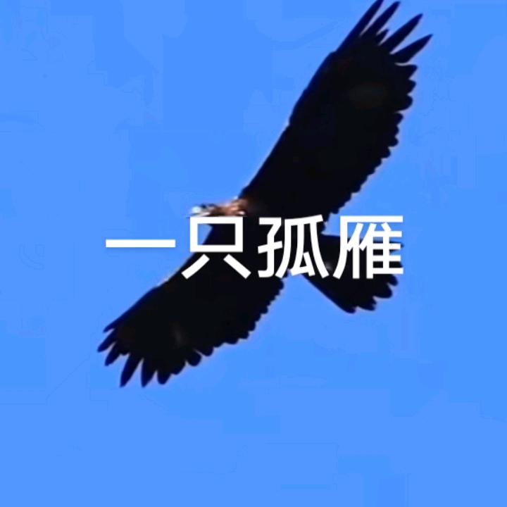 人生大舞台