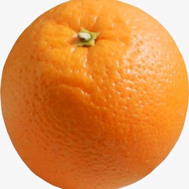 橘子🍊🍊