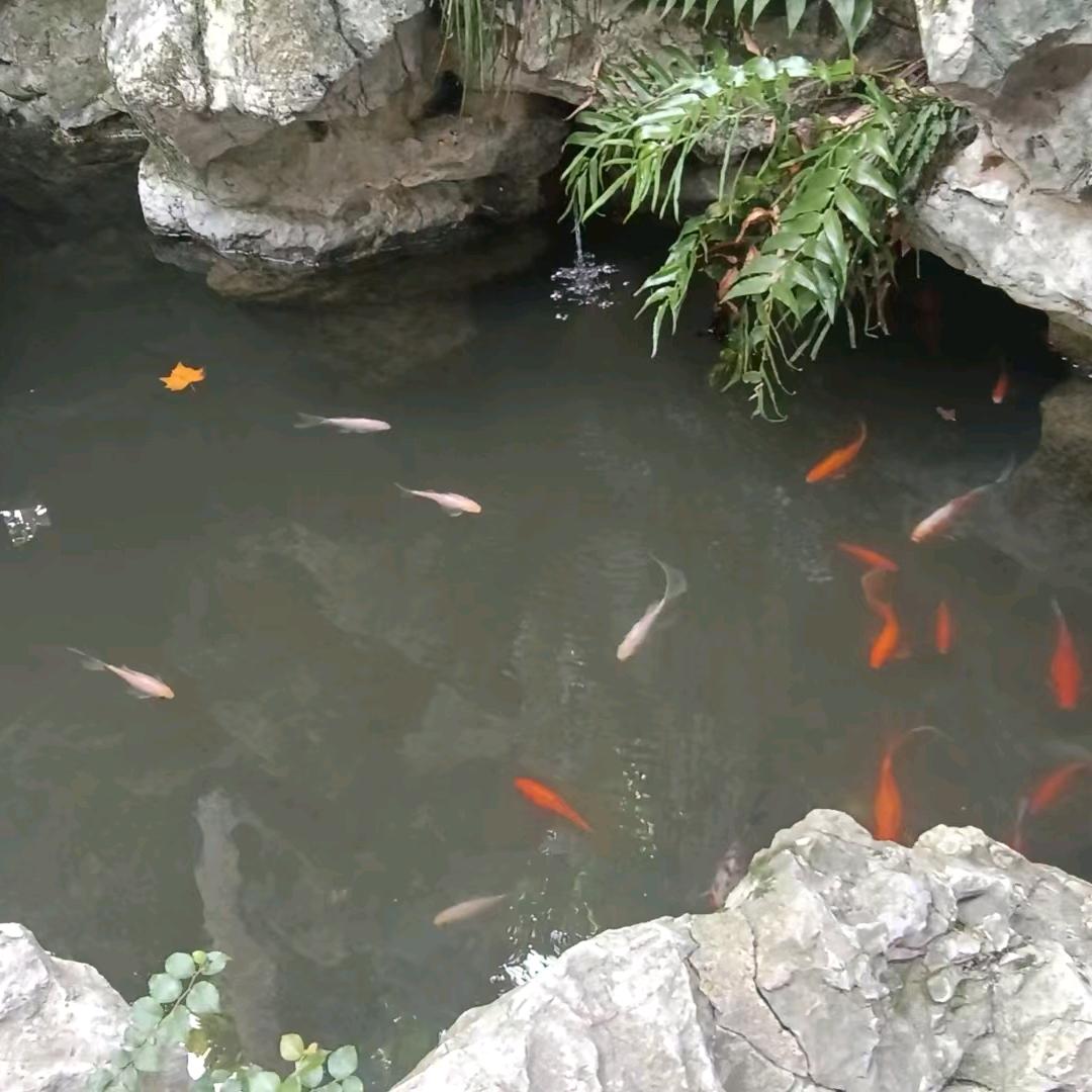 冰冻三尺，非一日寒