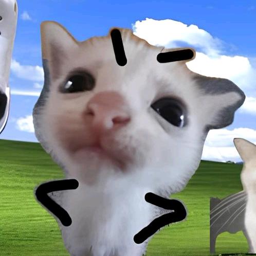 吗喽·布丁大王🍮