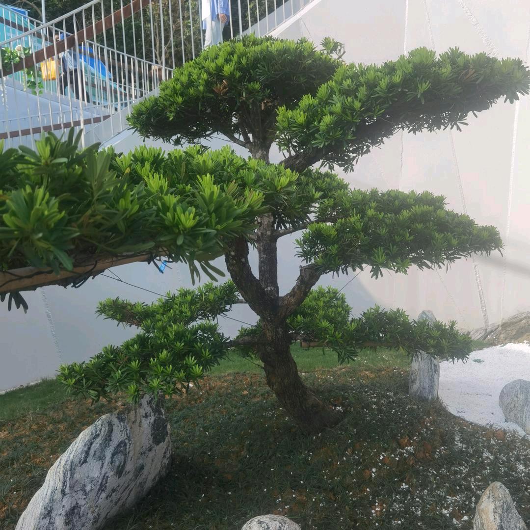 感悟人生