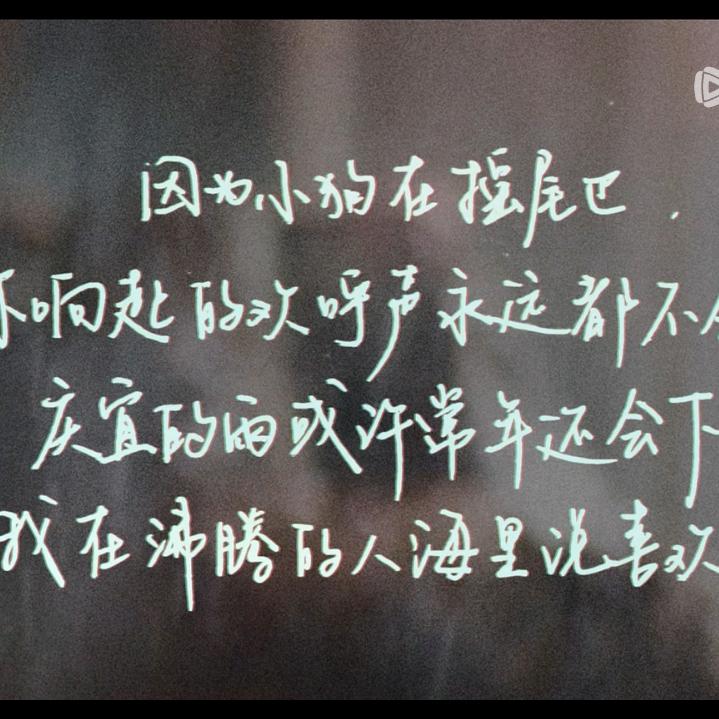 兔子不秃的