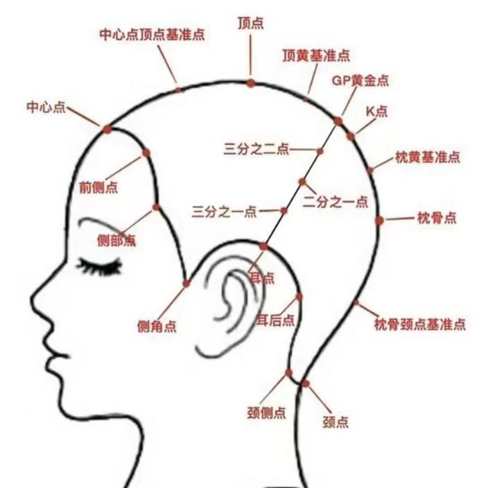 涪陵：菜头