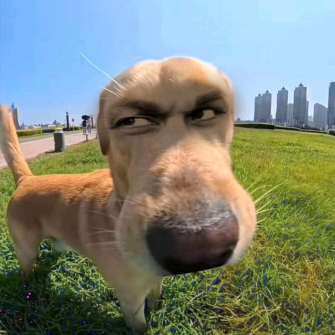 S Y