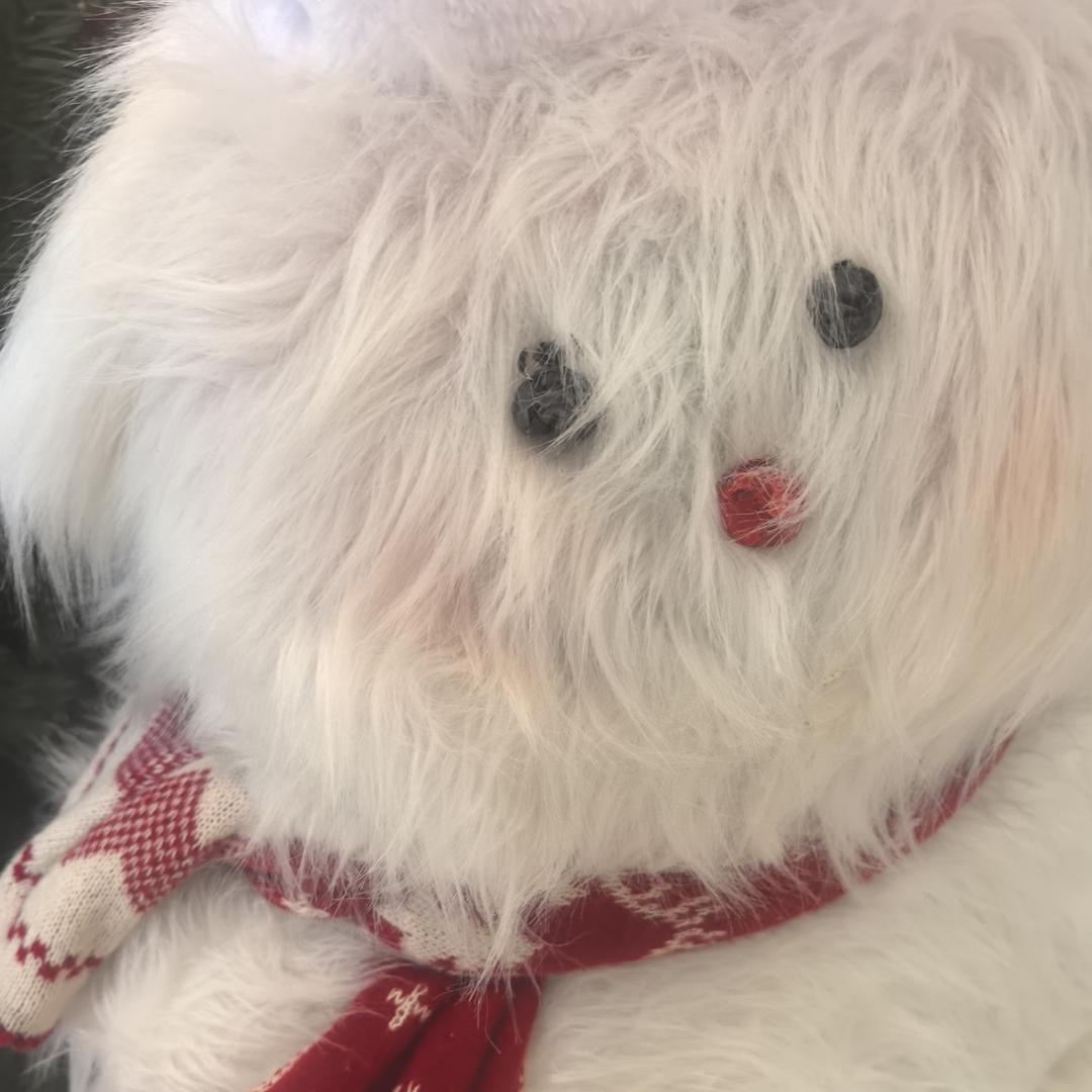 子车甫昭骑老奶过马路