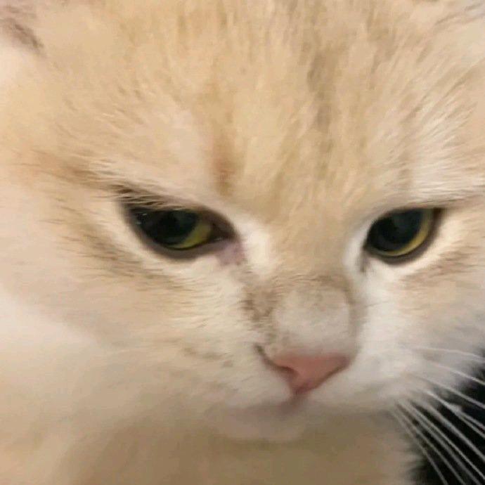 二十四小时多一分