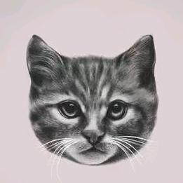 AI通信老猫