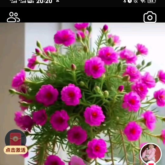 干净利💐骆🌷